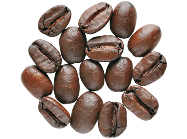 Arabica kávébab