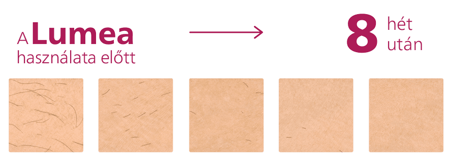 lumea progress