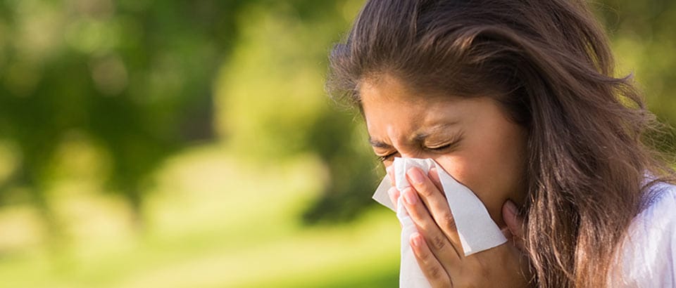 Allergének a lakásban – A pollenek típusai és előfordulási idejük